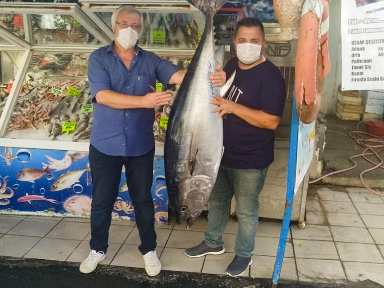 Karaburun'da 50 Kiloluk Orkinos, İlgi Odağı Oldu