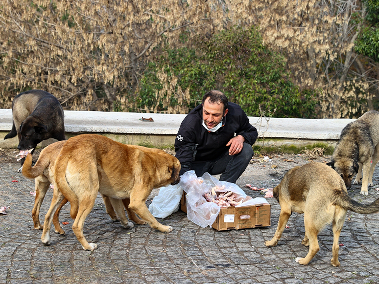 İzmirli Motosikletli Kurye Hafta Sonları Aç Sokak Hayvanları İçin Yollara Düşüyor