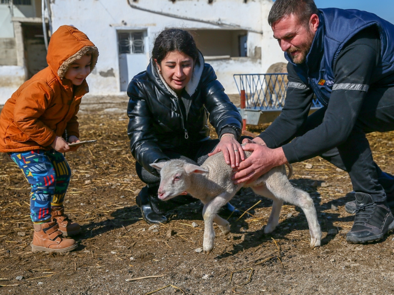 Devletten Destek Alan Genç Kadın, Hayvancılık İçin Köyüne Döndü