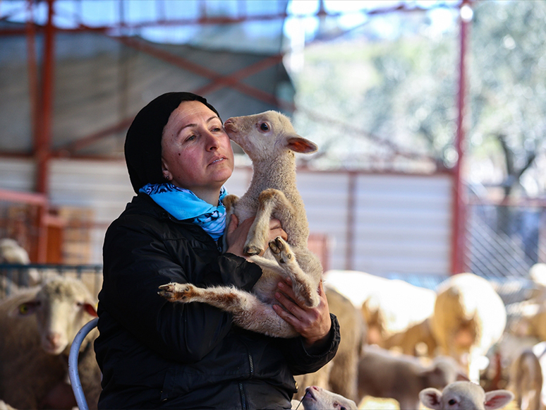 Devlet Desteğiyle Çiftlik Kuran Kadın Girişimci, Kuzularını Anne Şefkatiyle Büyütüyor