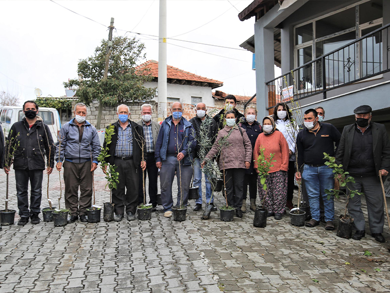 Buca Belediyesi’nden Üreticiye 13 Çeşit Meyve Fidanı