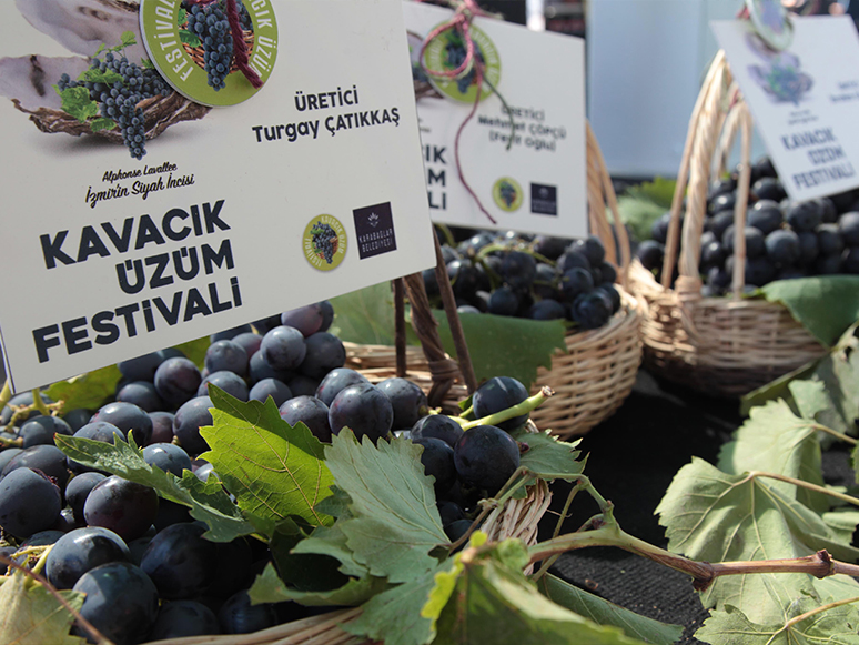 İzmirliler Yeniden Kavacık Üzüm Festivali'nde Buluşacak