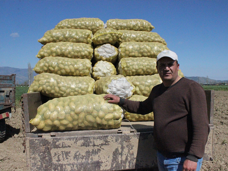 Cumhurbaşkanı Erdoğan'ın Müjdesi Ödemişli Patates Üreticilerini Mutlu Etti