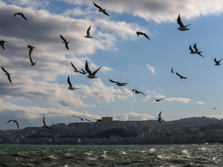 İzmir'de Arabalı Vapur Seferleri Yeniden Başladı