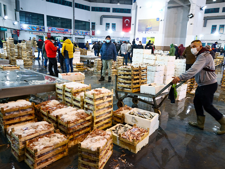 Türkiye'nin Hamsisi Ege'den