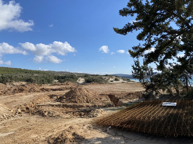 Çeşme Altınkum'da Kesilen Ağaçlar İçin İnceleme Başlatıldı