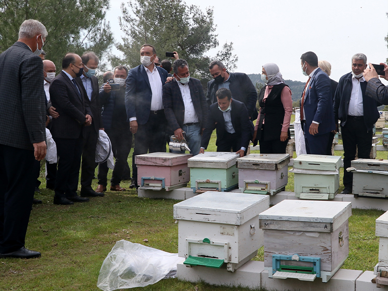 İzmir'de 100 Roman Kadına, 1000 Arı Kovanı Hibe Edildi