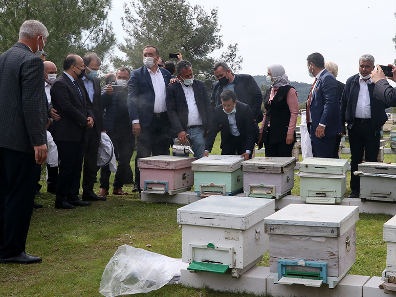 İzmir'de 100 Roman Kadına, 1000 Arı Kovanı Hibe Edildi