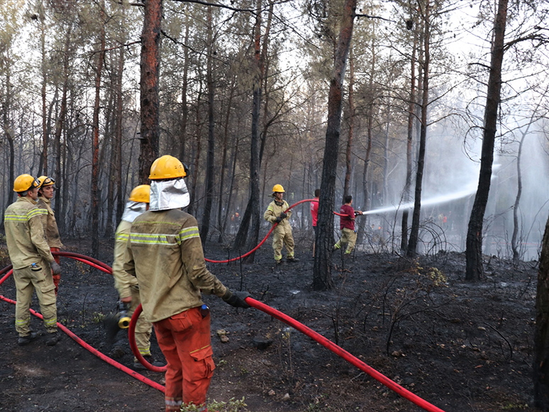 İzmir'de Çıkan Orman Yangını Kontrol Altına Alındı
