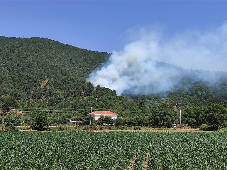İzmir'de Çıkan Orman Yangınına Müdahale Ediliyor