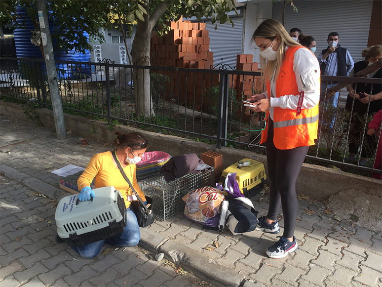 İzmir'deki Depremde Kısmen Çöken Binanın Enkazından Bir Kedi Kurtarıldı