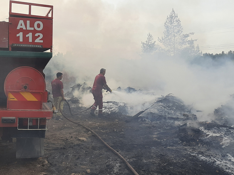 İzmir'de Ormanlık Alanda Çıkan Yangın Söndürüldü