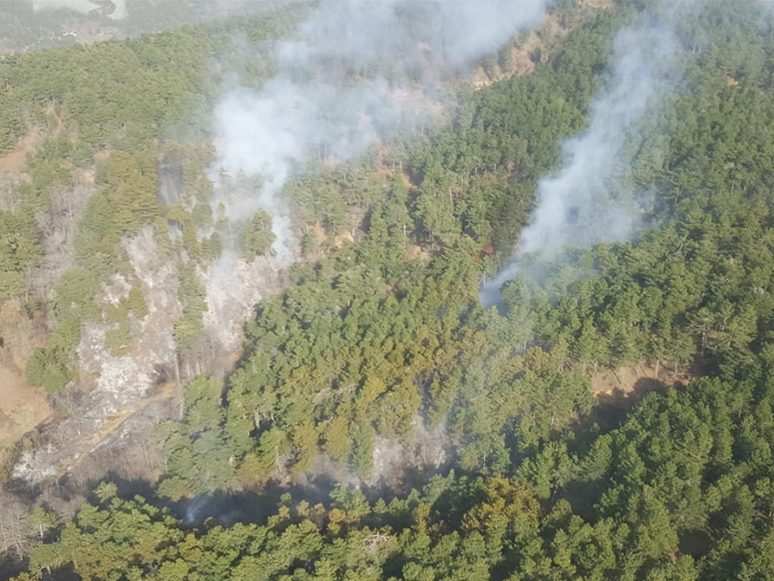 İzmir'in Ödemiş İlçesinde Çıkan Orman Yangını Kontrol Altına Alındı
