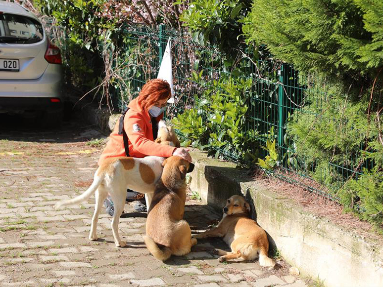 Bayraklı'da Hayvanseverlerden Örnek Dayanışma