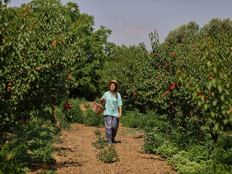 Dede Mirası Organik Tarım İçin Yöneticiliği Bırakan Kadın Girişimci Semt Pazarlarıyla Tüketiciye Ulaşıyor