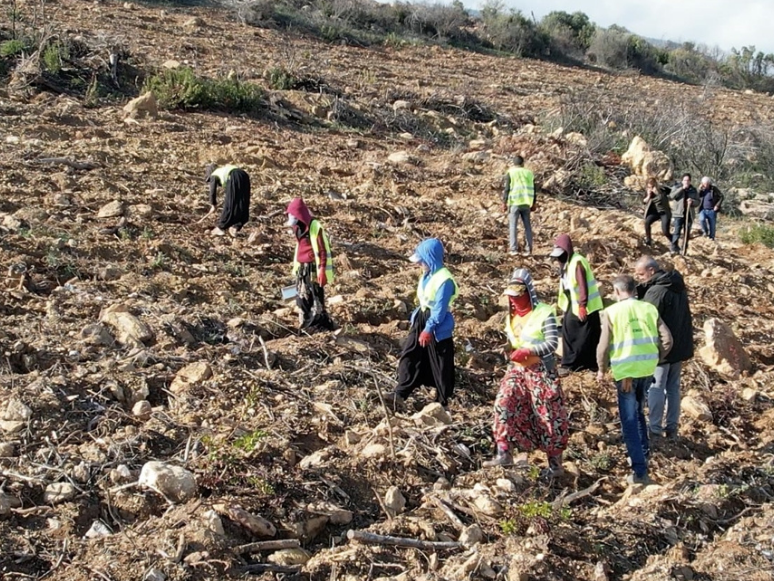 İzmir'de Yanan Orman Alanlarında Ağaçlandırma Çalışmaları Sürüyor