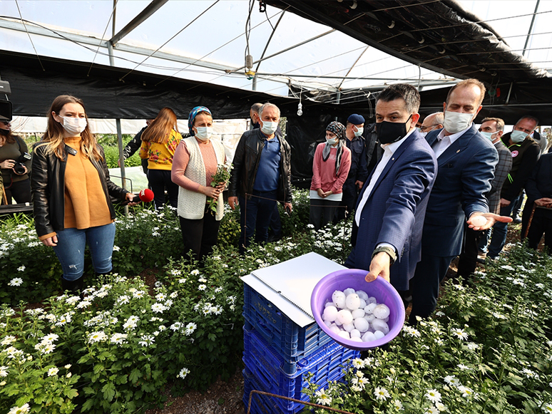 Pakdemirli, Hortum, Fırtına ve Doludan Zarar Gören Çeşme ile Urla'daki Tarım Alanlarını İnceledi