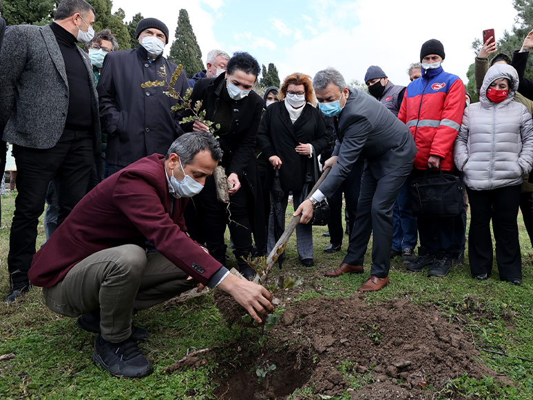 Çeşme'de Üreticilere Kuraklığa Dayanıklı Keçiboynuzu Fidanı Dağıtıldı