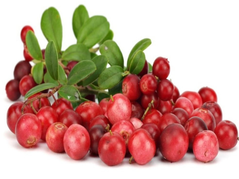 Cranberry (Turna Yemişi) Faydaları