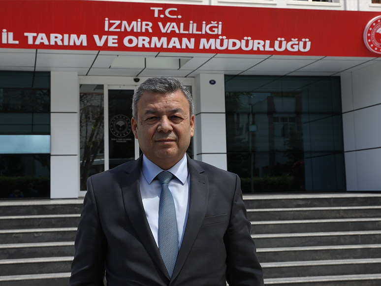 İzmir'de Bir Haftada 1,5 Milyon Adet Yerli Fide Dağıtıldı