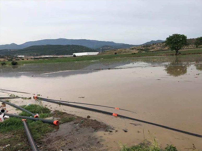 Bergama'da Dolunun 3 Bin Dönüm Tarım Arazisine Zarar Verdiği Bildirildi