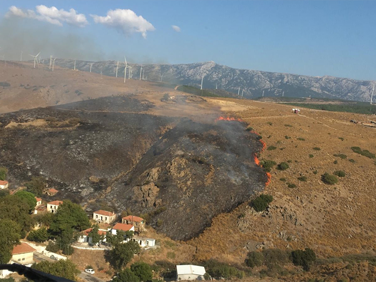 İzmir'de Otluk Alanda Çıkan Yangın Kontrol Altına Alındı
