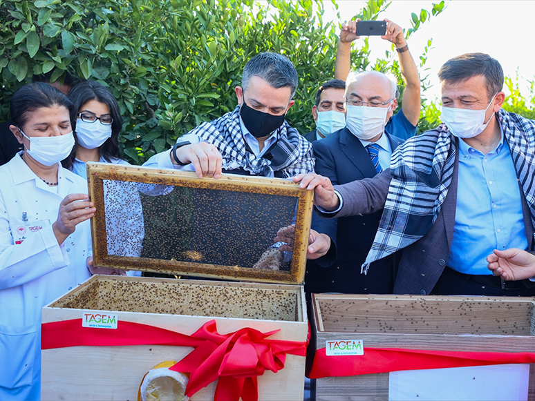 Pakdemirli, İzmir'de Faydalı Böcek Salımı Etkinliğinde Konuştu