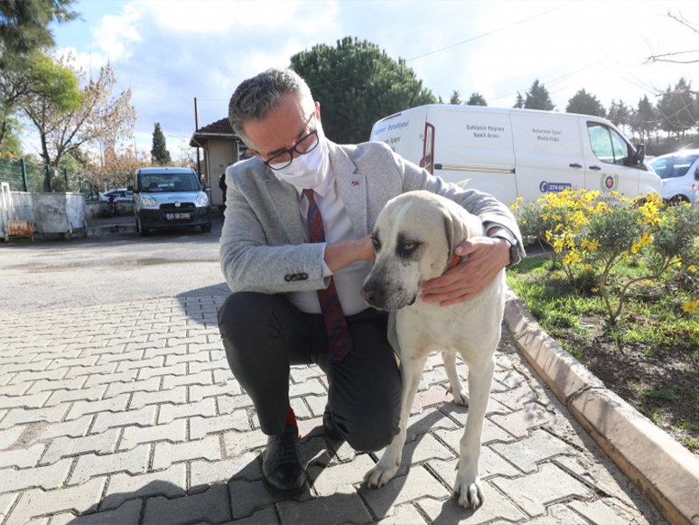 Sokağa Çıkma Kısıtlamalarında Can Dostlar Unutulmuyor