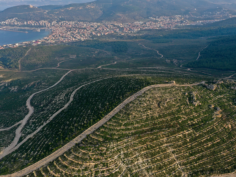 Foça'da 4 Yıl Önce Yanan Ormanlık Alan Fidanlarla Yeniden Yeşerdi
