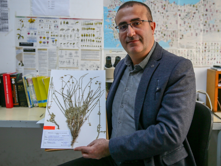İzmir'de Keşfedilen Yeni Bitki Türü Bilim Dünyasına Kazandırıldı