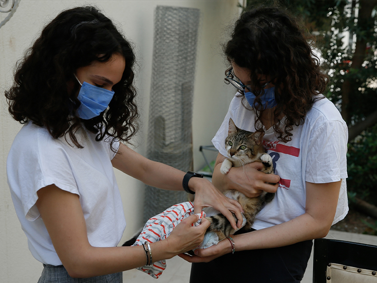 Felçli Kediyi Ameliyat Ettirerek Hayata Bağlayan İki Hayvansever Bakım İçin Destek İstiyor