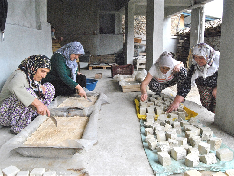 Öğrencilerin Projesi Köylü Kadınlara İlham Oldu