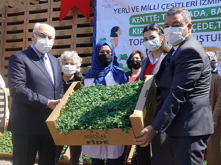 İzmir'de Yerli Tohumlardan Elde Edilen Sebze Fideleri 15 Bin Kadına Dağıtılıyor