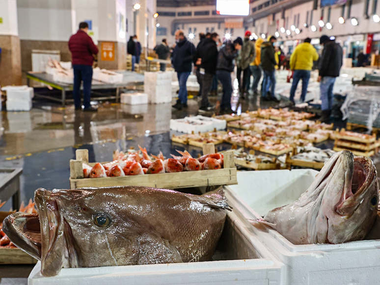 Sezonu Bereketli Geçiren Egeli Balıkçılar Cirolarını Katladı
