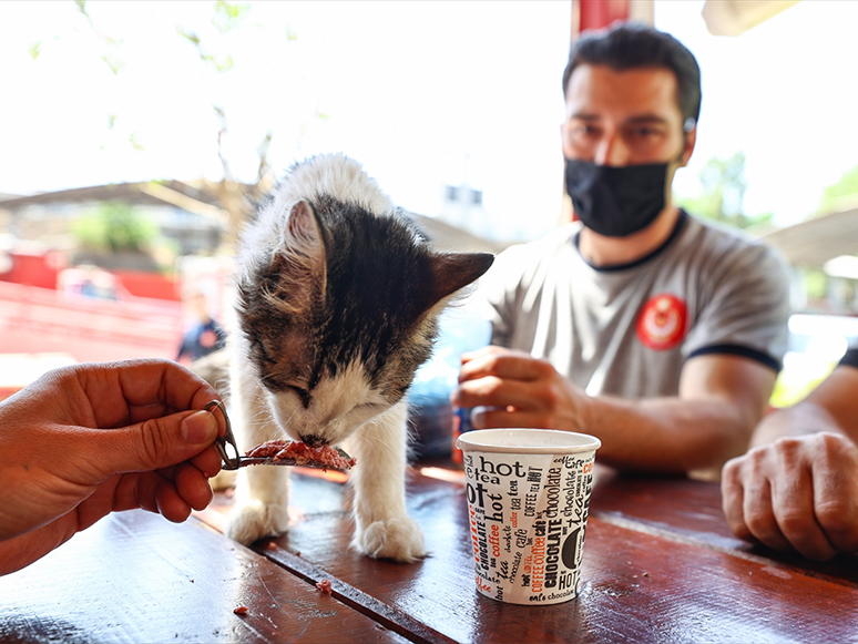 Yangında Kurtarılan Kediyi İzmir İtfaiyesi Sahiplendi