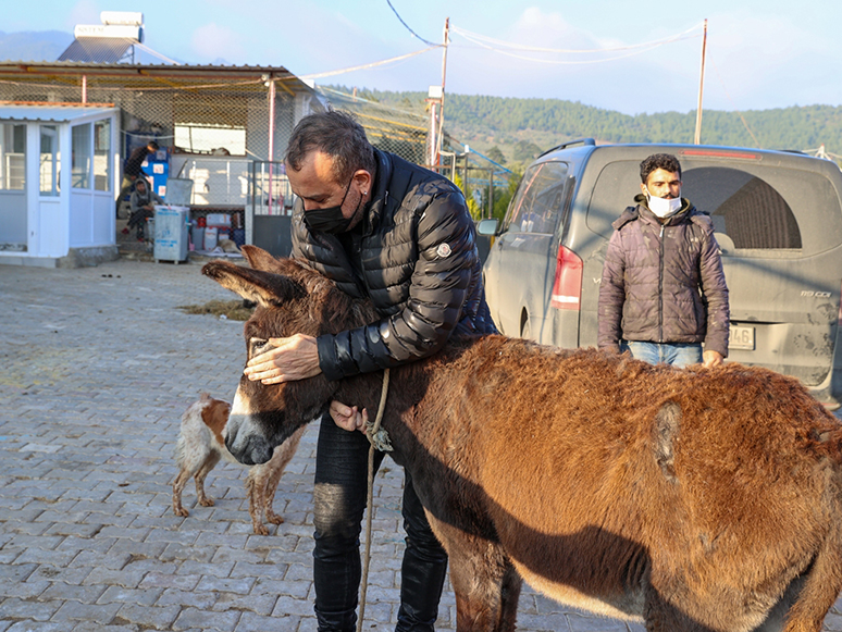 Kahramanmaraş'ta İşkenceye Uğradığı İddia Edilen Eşek İzmir'e Getirildi